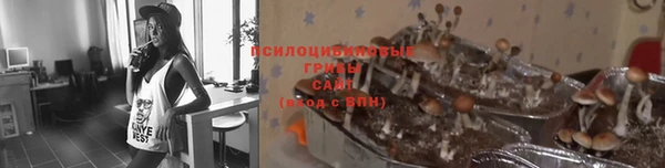 ешки Абдулино