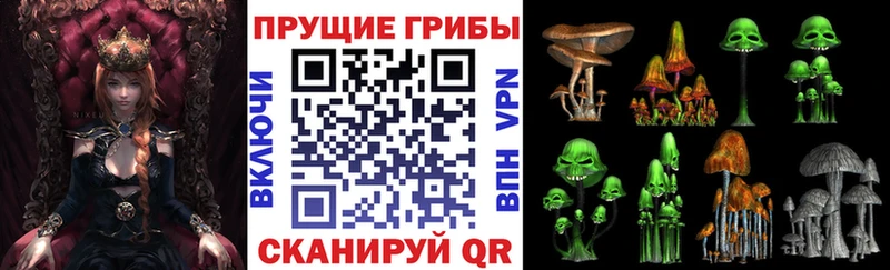 Псилоцибиновые грибы Psilocybine cubensis  Добрянка 